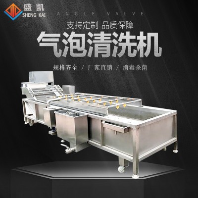 大型蔬菜清洗機(jī) 多功能全自動(dòng)果蔬噴淋式洗菜機(jī)