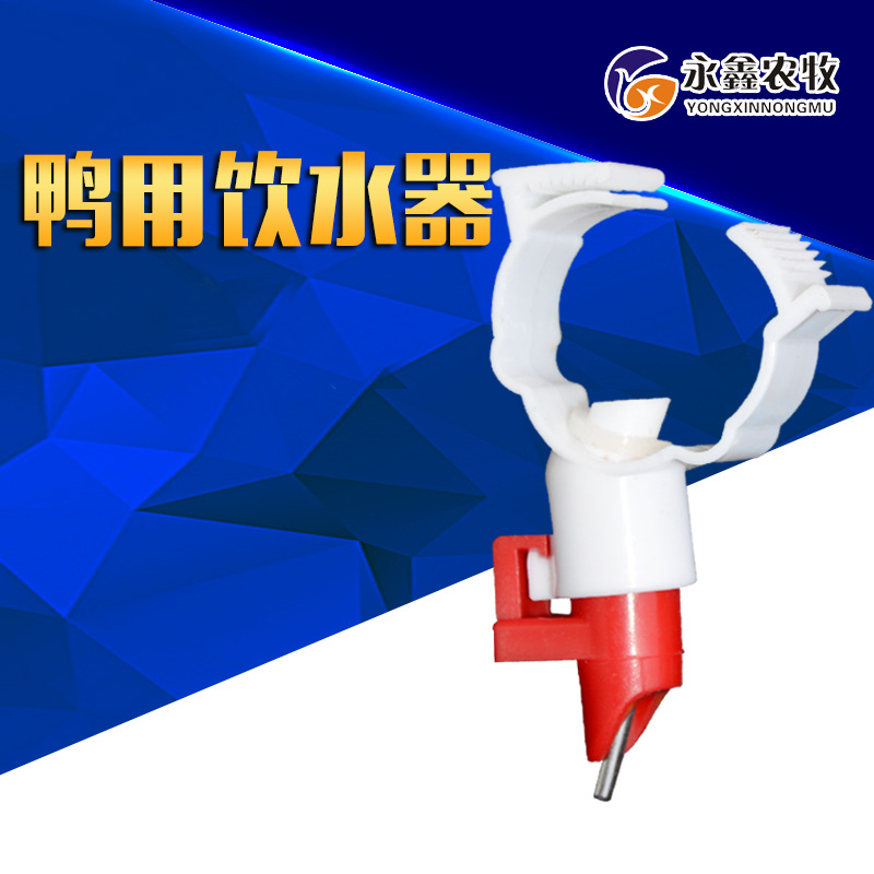 鴨用飲水器白