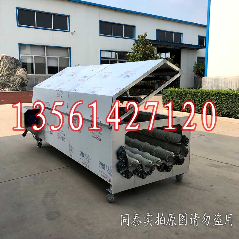 12輥蘿卜清洗機(jī)3