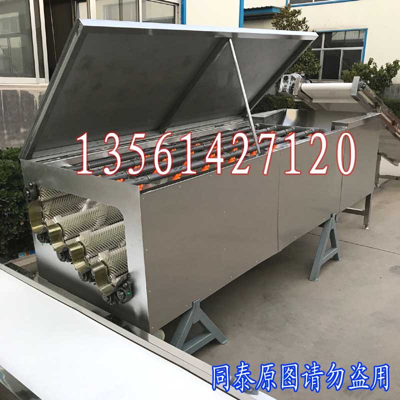 輸送白蘿卜清洗機(jī)1