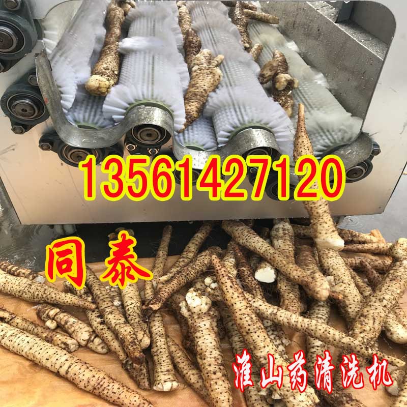 淮山藥清洗機(jī)1