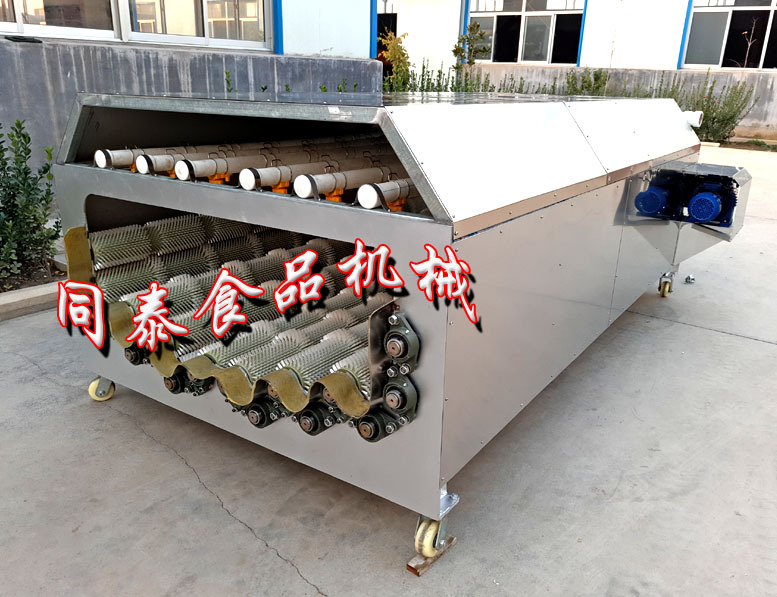 12輥蘿卜清洗機(jī)2
