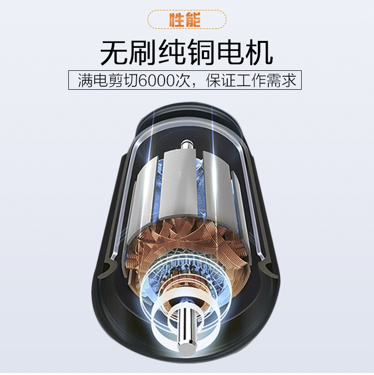 未標題-1_11.jpg