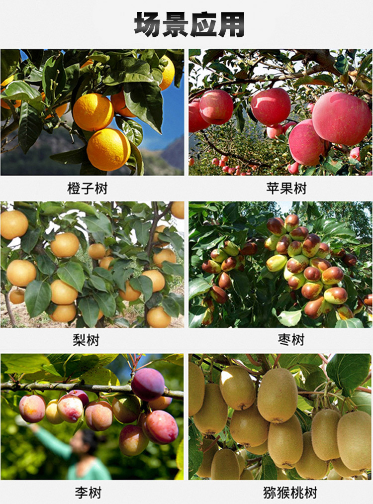 未標題-1_04.jpg
