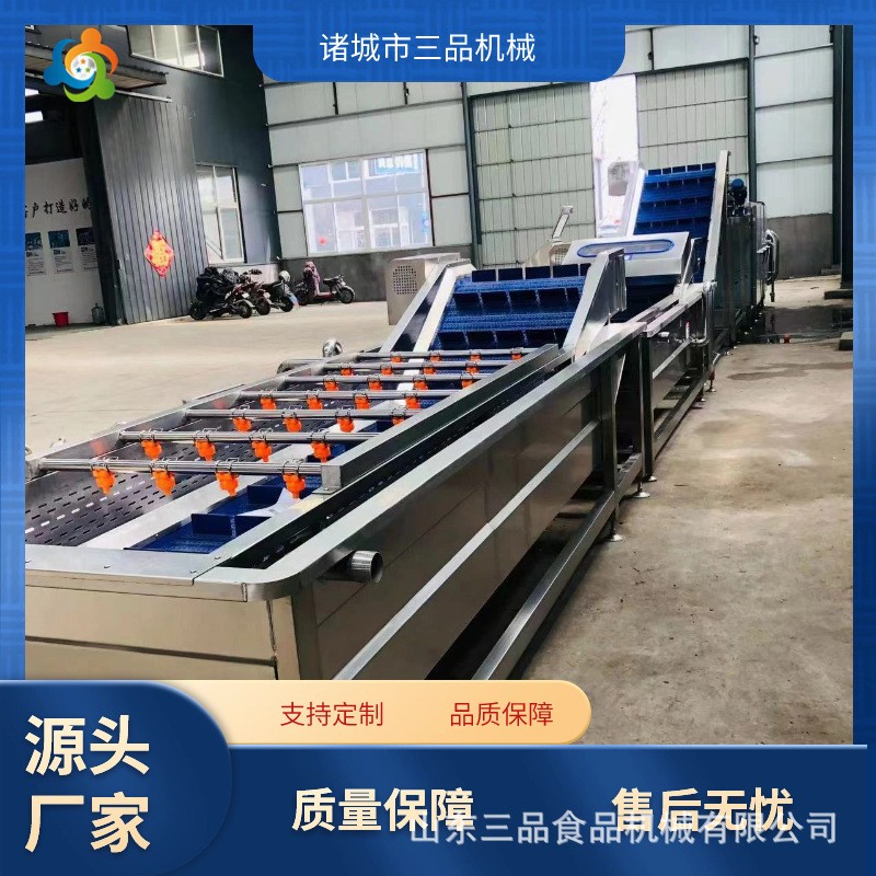 全自動枸杞清洗機 鮮花生氣泡清洗機 果蔬大型清洗機流水線
