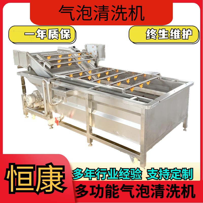 果蔬氣泡清洗機包裝袋清洗設備大棗噴淋式沖洗機蔬菜清洗流水線