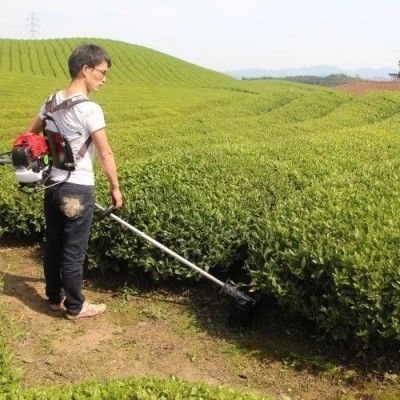 背負式家用電動割草機大棚蔬菜果園打草機大功率開荒收割神器成浩