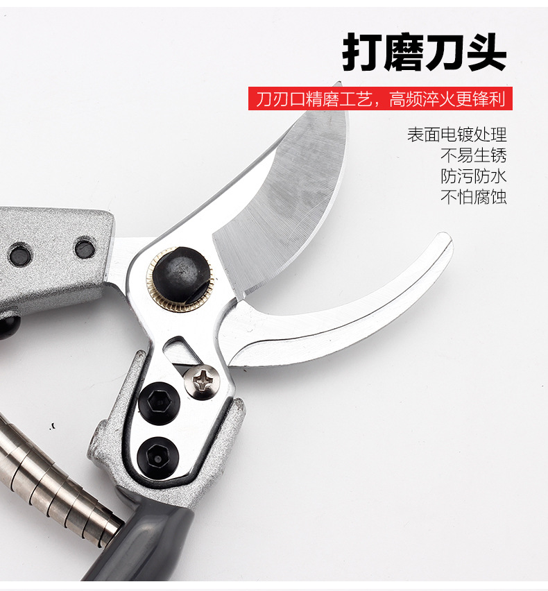 園林剪刀_09.jpg