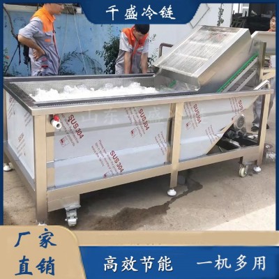 農(nóng)產(chǎn)品清洗機(jī) 蔬菜深加工設(shè)備 果蔬清洗設(shè)備 清洗流水線