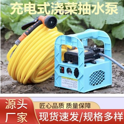 充電式抽水泵手提高壓噴霧農(nóng)用打藥澆菜抽水機(jī)家用洗車(chē)澆花沖肥器