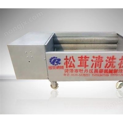 松茸清洗機11