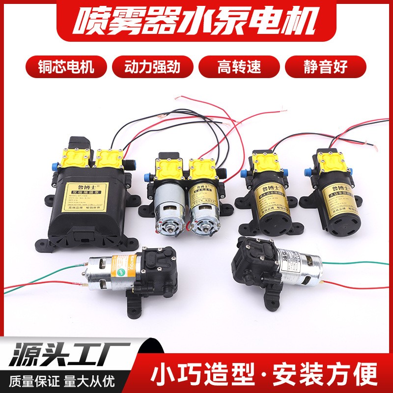 廠家貨源噴霧器水泵電機 高壓打農機配件 電動噴霧器水泵電機批發