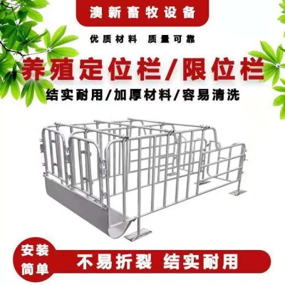 供應豬用定位欄限位欄 豬場養豬帶食槽養豬設備豬定位欄廠家批發