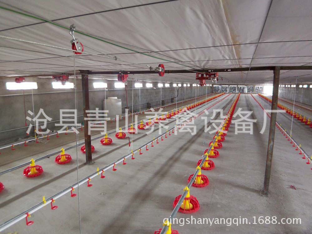 供應(yīng)養(yǎng)雞水線 全自動養(yǎng)雞水線 肉雞養(yǎng)殖設(shè)備 平養(yǎng)雞料線 水線