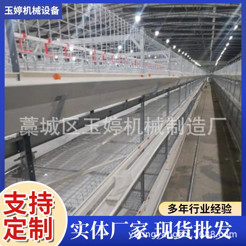 全自動層疊蛋雞籠子養殖雞籠具籠養雞用設備階梯式雞籠蛋雞籠養殖