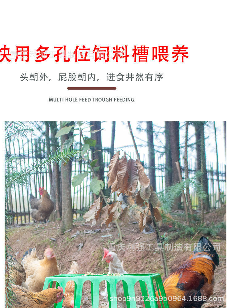 詳情頁(1)_05.jpg