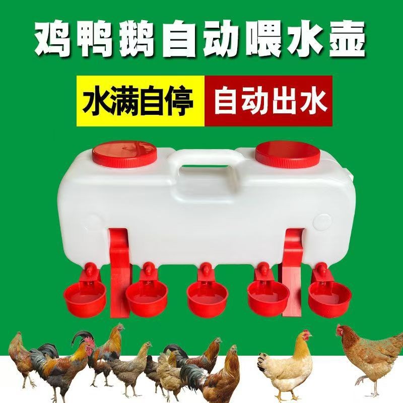 亞馬遜雞自動飲水槽雞鴨鵝用飲水器散養雞用自動喂水壺雞水桶水碗