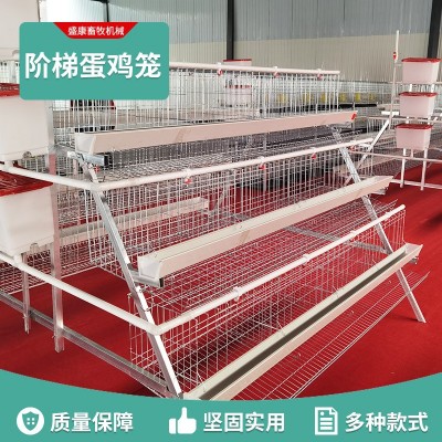 階梯蛋雞籠養殖場專用籠雞籠子階梯式蛋雞籠養雞設備養殖雞籠全套