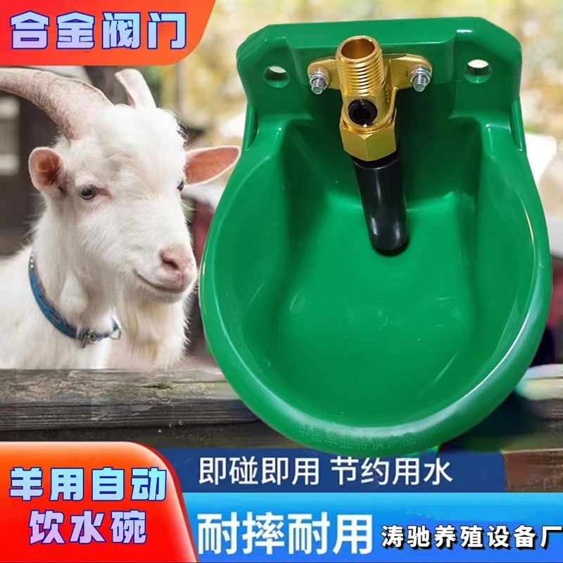 牛羊飲水器自動喂水合金閥門獸用喝水盆養(yǎng)羊設(shè)備水槽羊用飲水碗