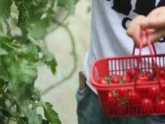 “汗水農業”變“智慧農業”，鄉村振興更顯“科技范兒