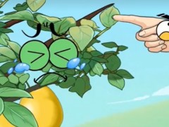 為什么柚子樹冬季要剪頭？