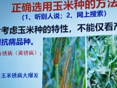 農(nóng)業(yè)創(chuàng)業(yè)知識